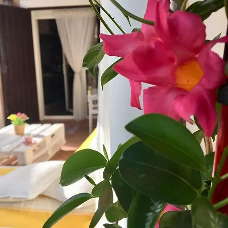 Miranda Σπίτι διακοπών El Rompido