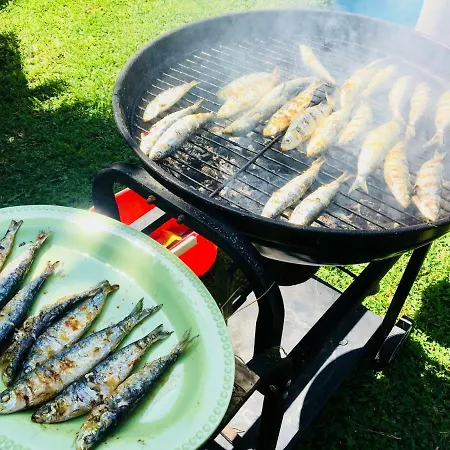 Hébergement de vacances Miranda *