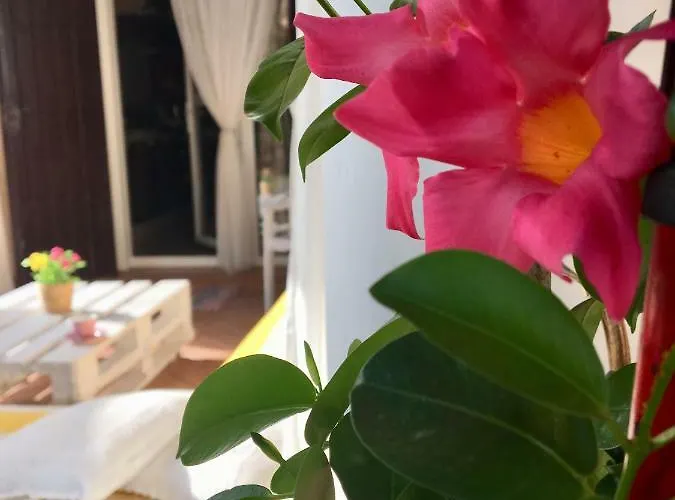 Miranda Hébergement de vacances El Rompido